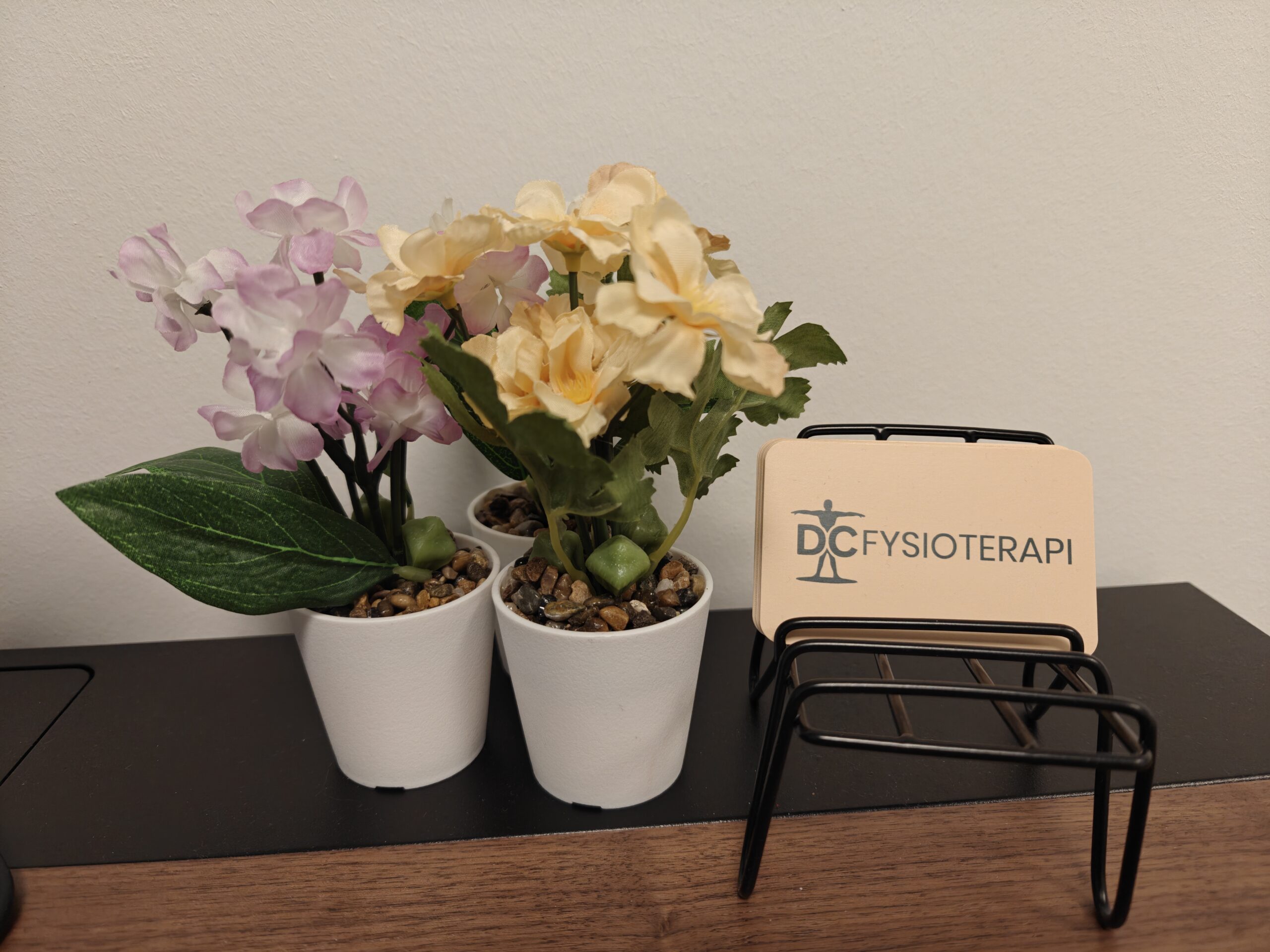 Velkommen til bloggen The FatPhysio